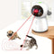 Cat Toys