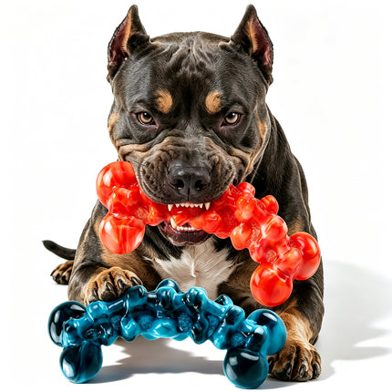 Foolala Flame Bone 2 Color 2 Piece Dog Chew Toy Set For Aggressive Chewers