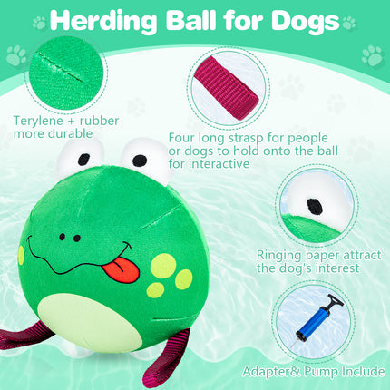 Frog Ball main Figure 5
