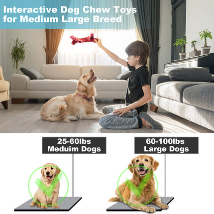 Fuufome Food-Grade Nylon Bone Dog Chew Toys Main Figure 3