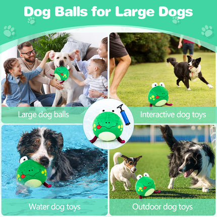 Frog Ball main Figure 6