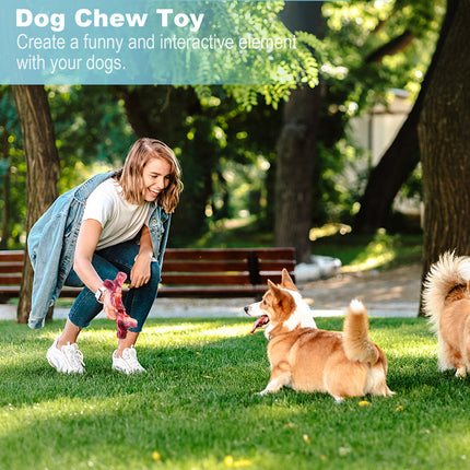 Fuufome Food-Grade Nylon Bone Dog Chew Toys Main Figure 6