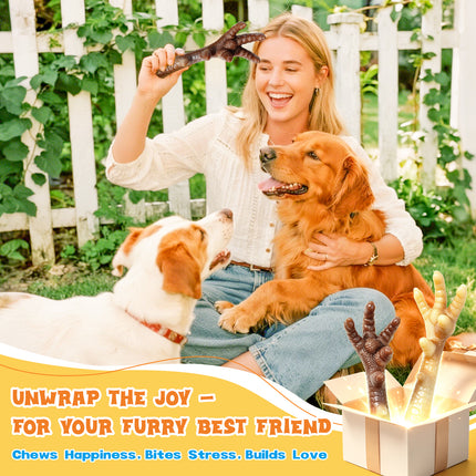 FOOLALA 2-Pack Indestructible Nylon Dog Chew Toys for Aggressive Chewers Medium Large Dogs（副本）