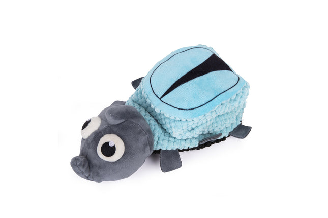 Beetle main Figure 1