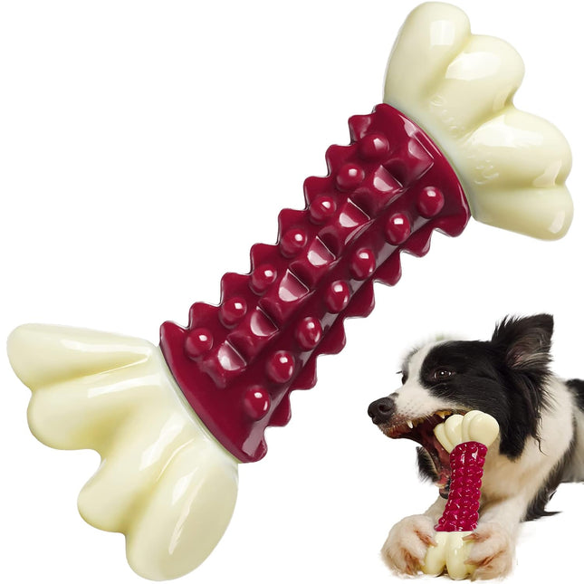 Red Fan Bone Main Figure 1