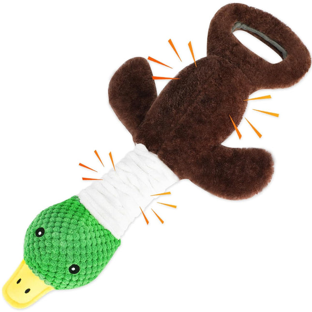 Pull Ring Pull Called Mallard Duck Main Figure 1