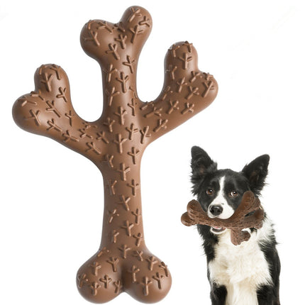 Cactus main Figure 1