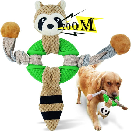 Raccoon Main Figure 1