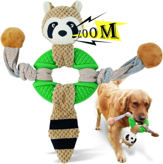 Raccoon Main Figure 1