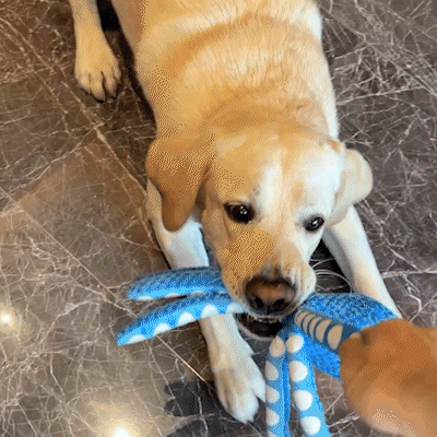 Foolala 13-Inch Durable Octopus Squeak Plush Dog Toy For Aggressive Chewers