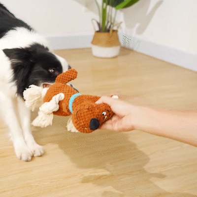 fuuome cotton rope dog main figure 2