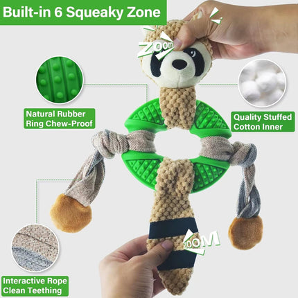 Raccoon Main Figure 2