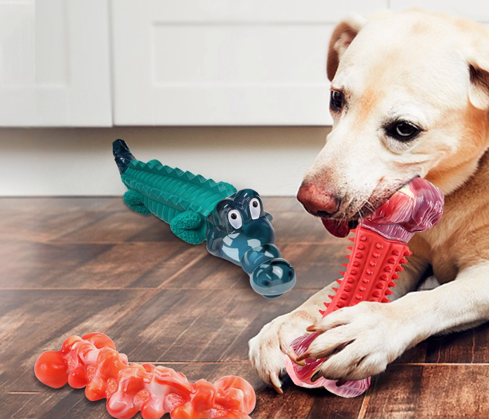 Explore our wide range of dog toys!