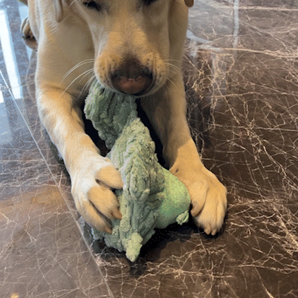 Foolala Hippo Squeak Plush Dog Toy For Aggressive Chewers