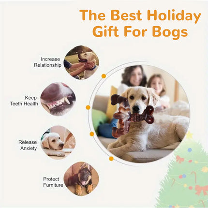 Foolala Flame Bone Dog Chew Toy For Aggressive Chewers