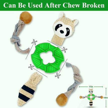 Raccoon Main Figure 3