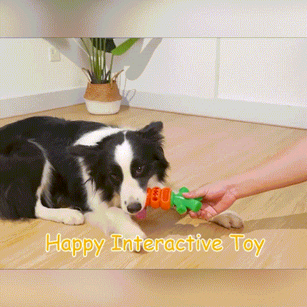 Foolala Card Carrot Dog Chew Toy For Aggressive Chewers