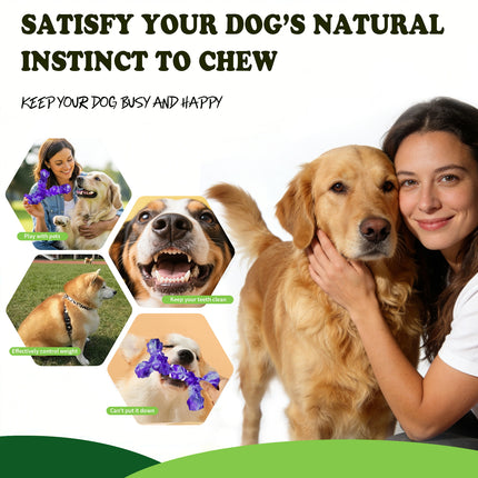 Foolala 3 Pack Dog Toys for Aggressive Chewers, Indestructible Extra Durable Bacon Flavor Nylon Dental Chew Bones