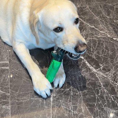 Foolala Green Gummy Alligator Dog Chew Toy For Aggressive Chewers