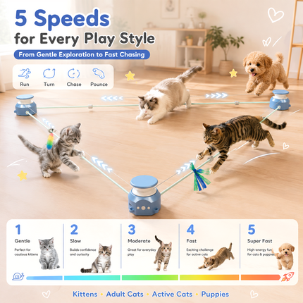 Foolala Interactive Cat Toy for Indoor Cats, Automatic Moving Treadmill with Motion Sensor, Rechargeable Chase and Exercise Toy with 5 Speeds