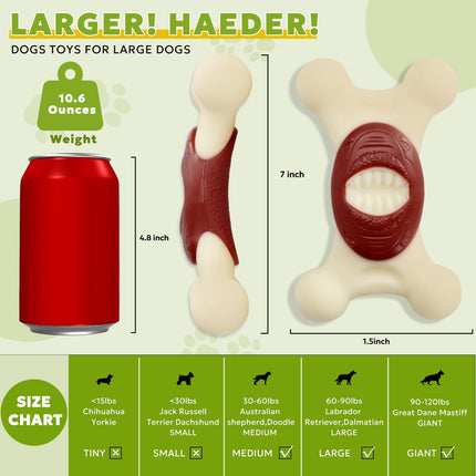 Shark main figure 5