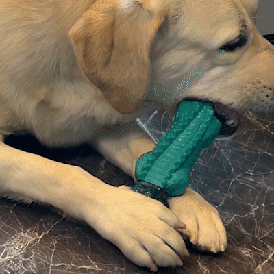 Foolala Blue Alligator Dog Chew Toy For Aggressive Chewers