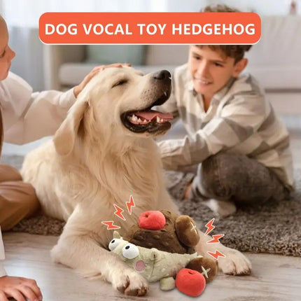 Hedgehog Set main figure 5