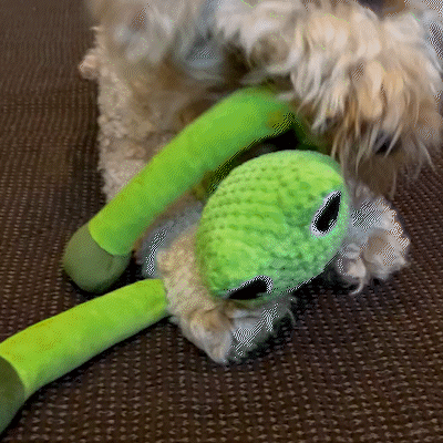 Foolala Frog Squeak Plush Dog Toy For Aggressive Chewers