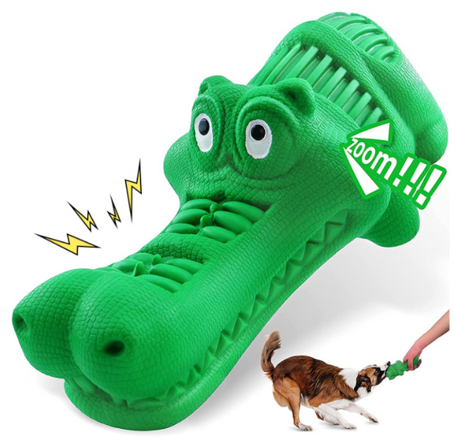 Crocodile Mouth main Figure 1