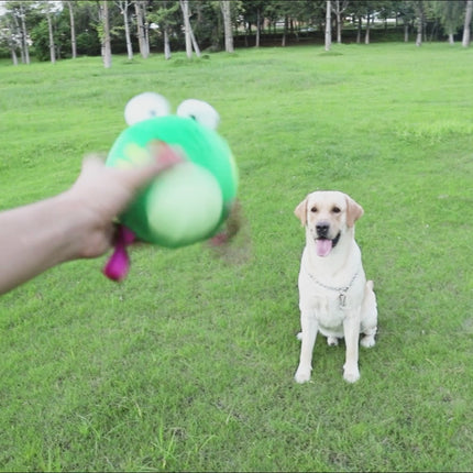 Frog Ball main Figure 2